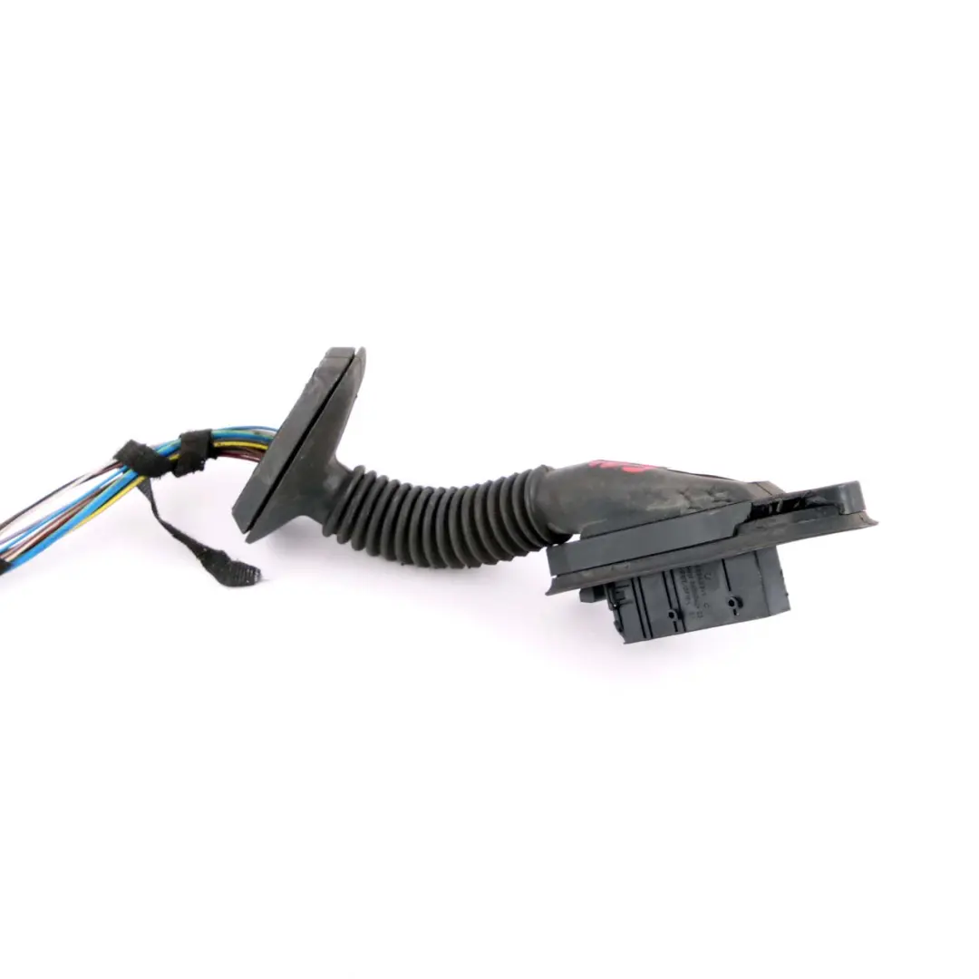 Cableado Loom Set Puerta Trasera Derecha Izquierda para BMW X1 E84 con número de pieza 9247091 BMW X1 E84 Cableado Loom Set Puerta Trasera Derecha Izquierda - SKU 9247091 - Número de pieza 9247091
