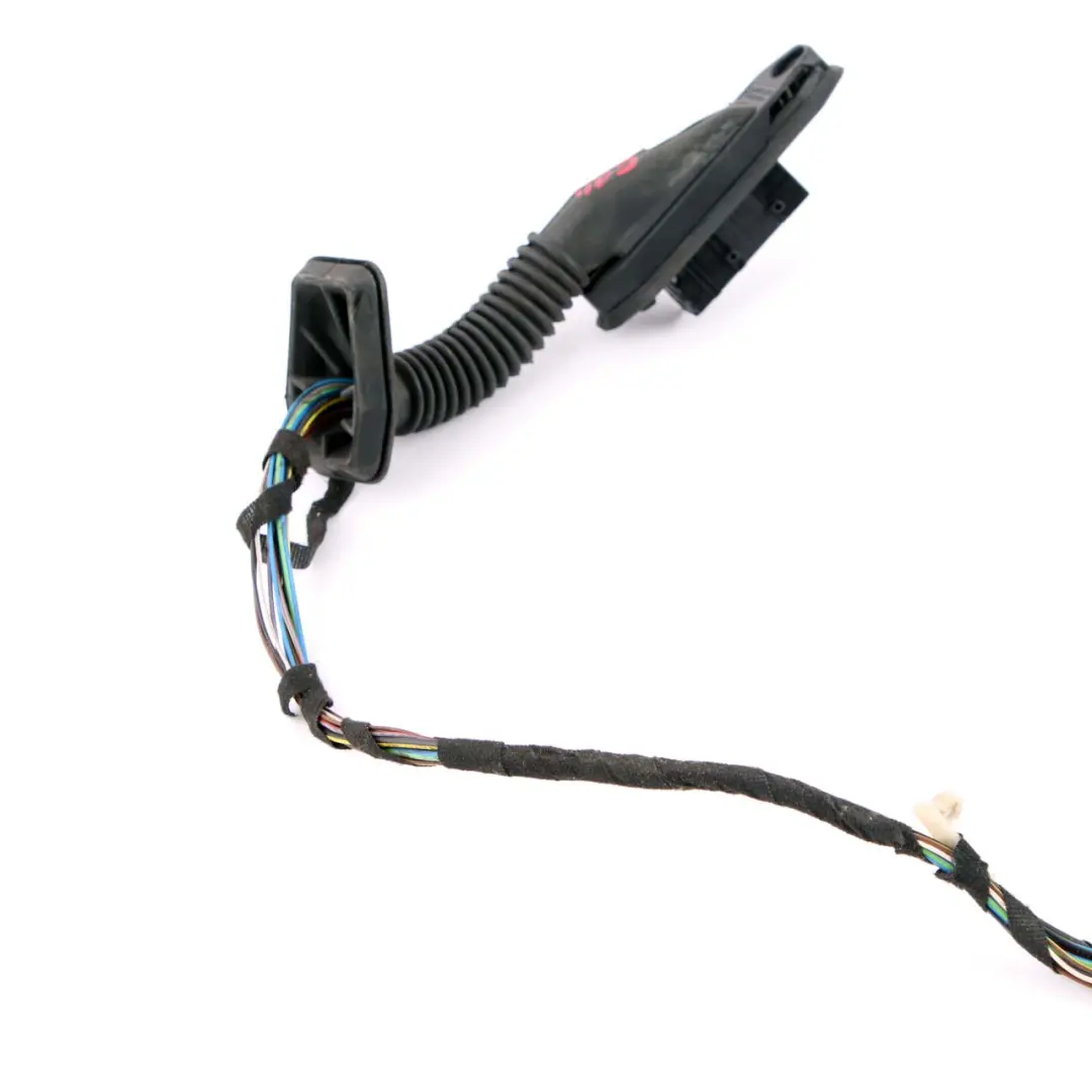 Set Cavi Di Cablaggio Porta Posteriore Destra Sinistra per BMW X1 E84 con numero di parte 9247091 BMW X1 E84 Set Cavi Di Cablaggio Porta Posteriore Destra Sinistra - SKU 9247091 - Numero di parte 9247091