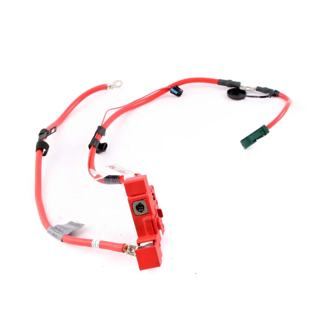 Positive Cable BMW Z4 E89 Convertible Battery Plus Pole Power Red to with Part number 9249103 Positive Cable BMW Z4 E89 Convertible Battery Plus Pole Power Red - SKU 9249103 - Part number 9249103