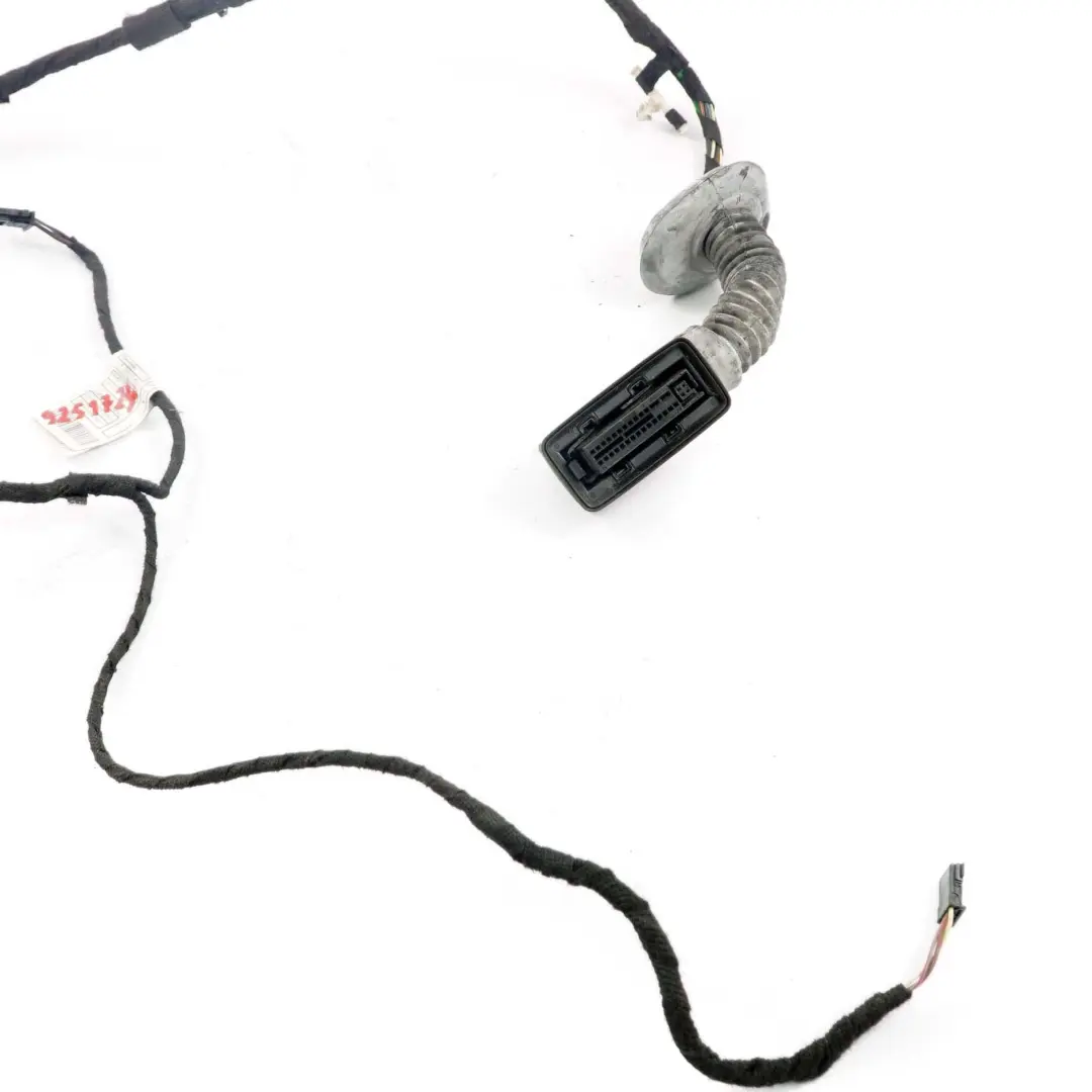 Trasero Izquierdo Derecho N/ Cableado Mazo Puerta Loom N/ para BMW F20 con número de pieza 9251724 BMW F20 Trasero Izquierdo Derecho N/ Cableado Mazo Puerta Loom N/ - SKU 9251724 - Número de pieza 9251724