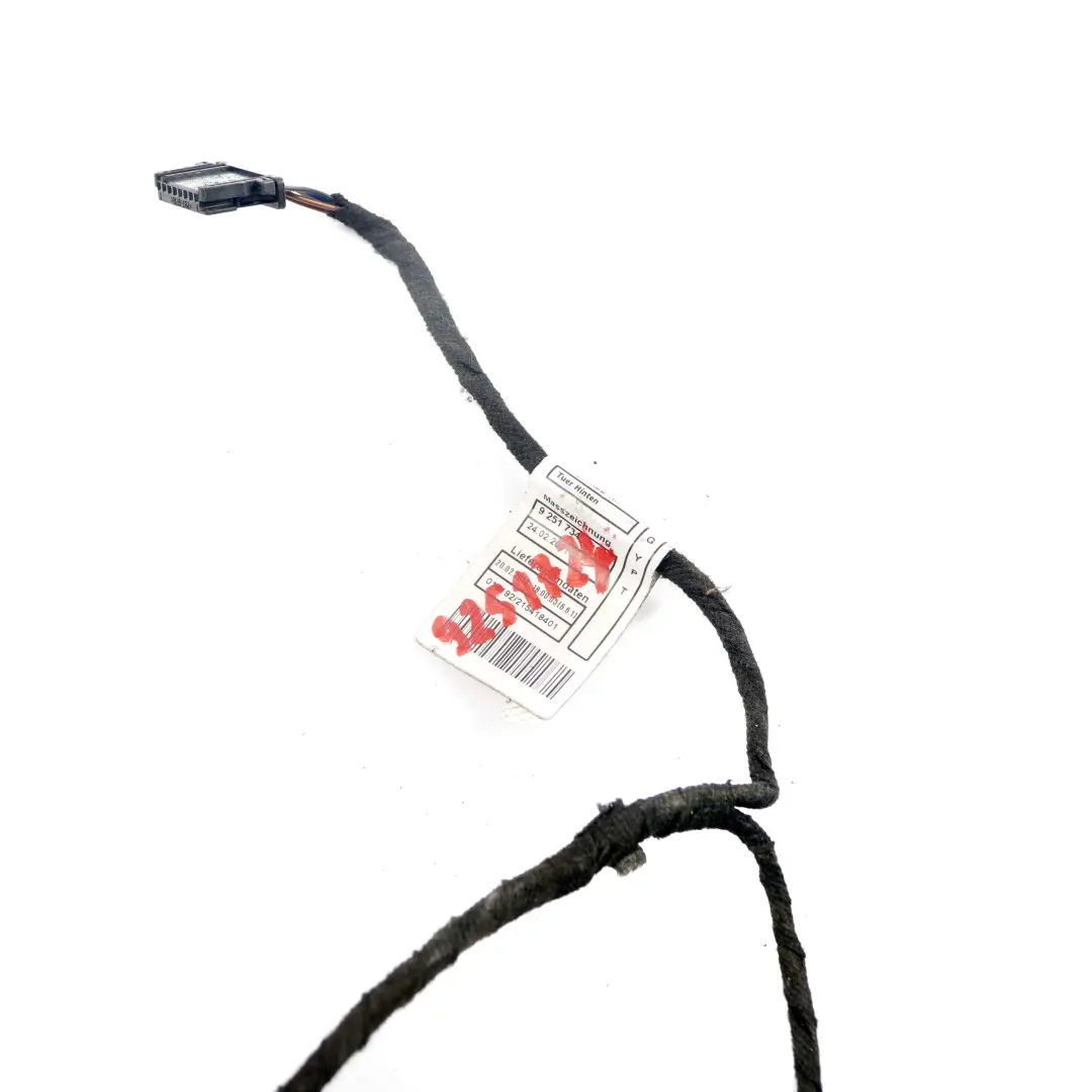 BMW 1 SERIES F20 Rear Left Right N/O/S Wiring Harness Door Loom N/O/S - SKU 9251724 - Part number 9251724