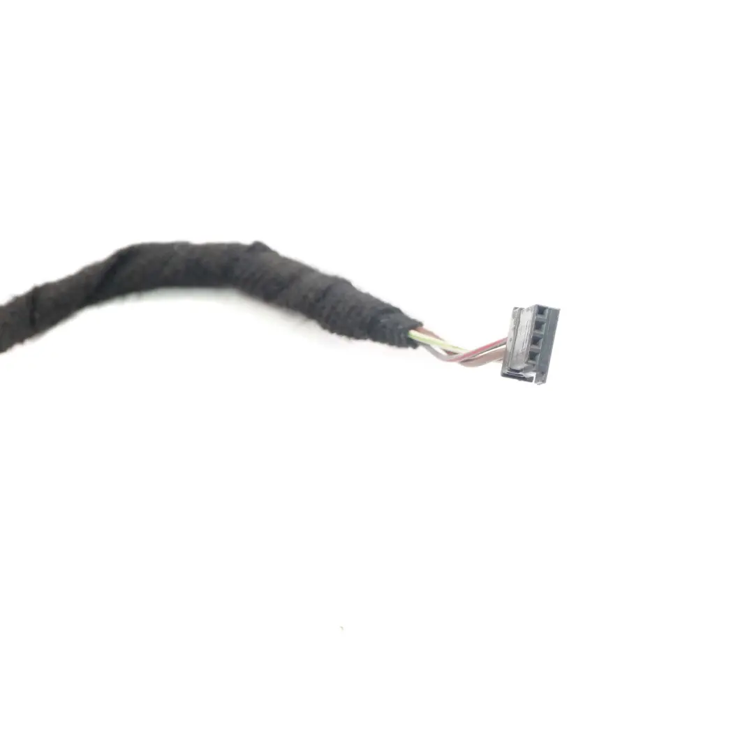 BMW 1 Reihe F20 LCi Kabelsatz Kabelbaum Kabel Tür Hinten - SKU 9251724 - Teilenummer 9251724