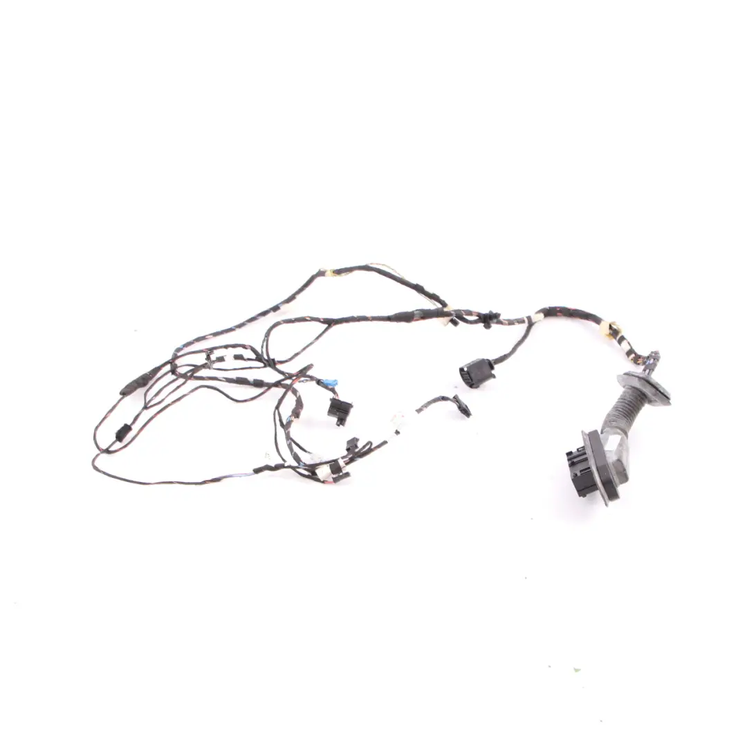 Cableado Arnés Cables Puerta Delantera Derecha para BMW X3 F25 con número de pieza 9252383 BMW X3 F25 Cableado Arnés Cables Puerta Delantera Derecha - SKU 9252383 - Número de pieza 9252383