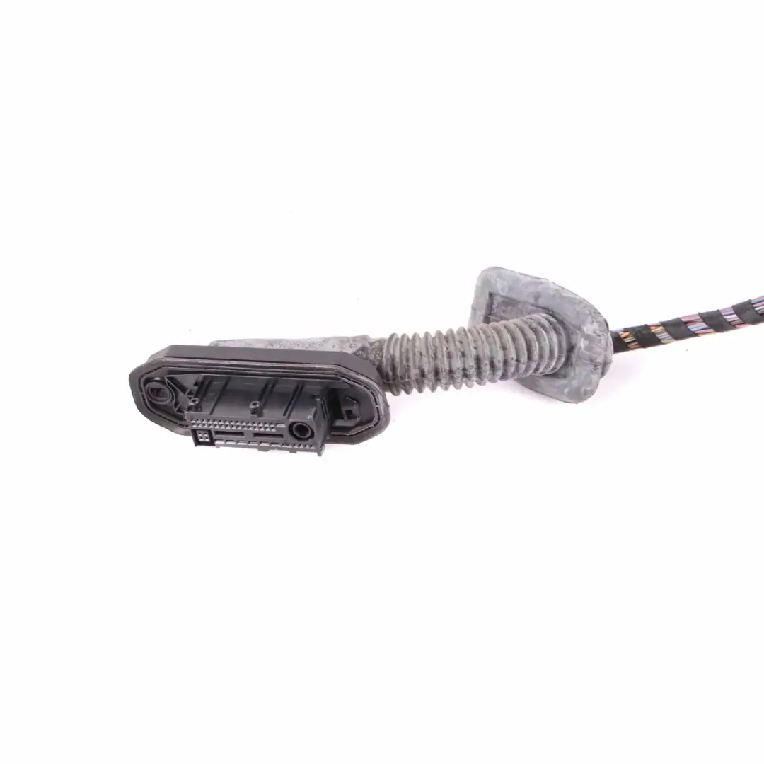 Cablaggio Cablaggi Porta Anteriore Destra per BMW X3 F25 con numero di parte 9252383 BMW X3 F25 Cablaggio Cablaggi Porta Anteriore Destra - SKU 9252383 - Numero di parte 9252383