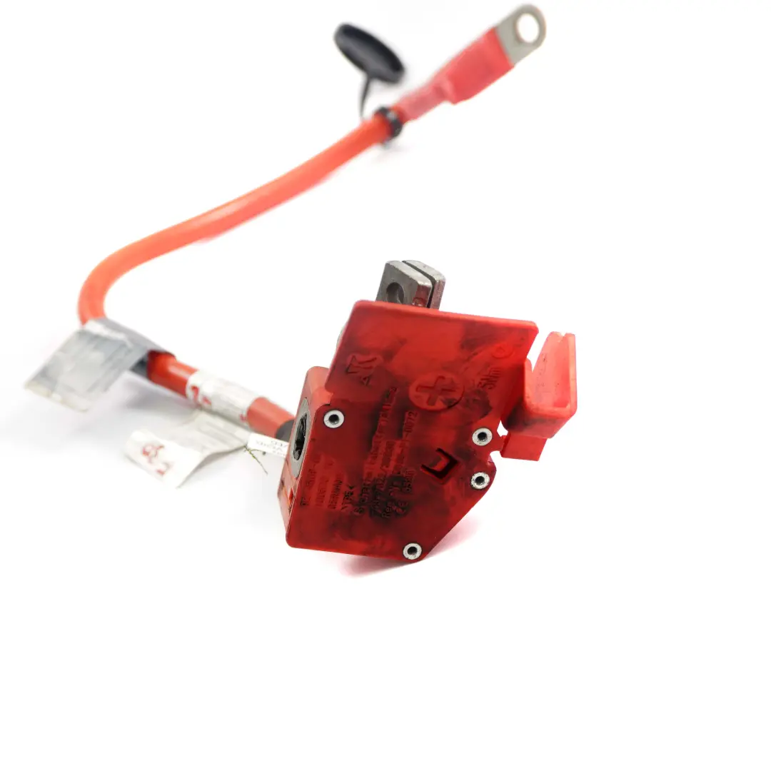 Cable Positivo Batería BMW F30 F31 F80 M3 F82 M4 Plus Pole Power Rojo para con número de pieza 9259425 Cable Positivo Batería BMW F30 F31 F80 M3 F82 M4 Plus Pole Power Rojo - SKU 9259425-2 - Número de pieza 9259425