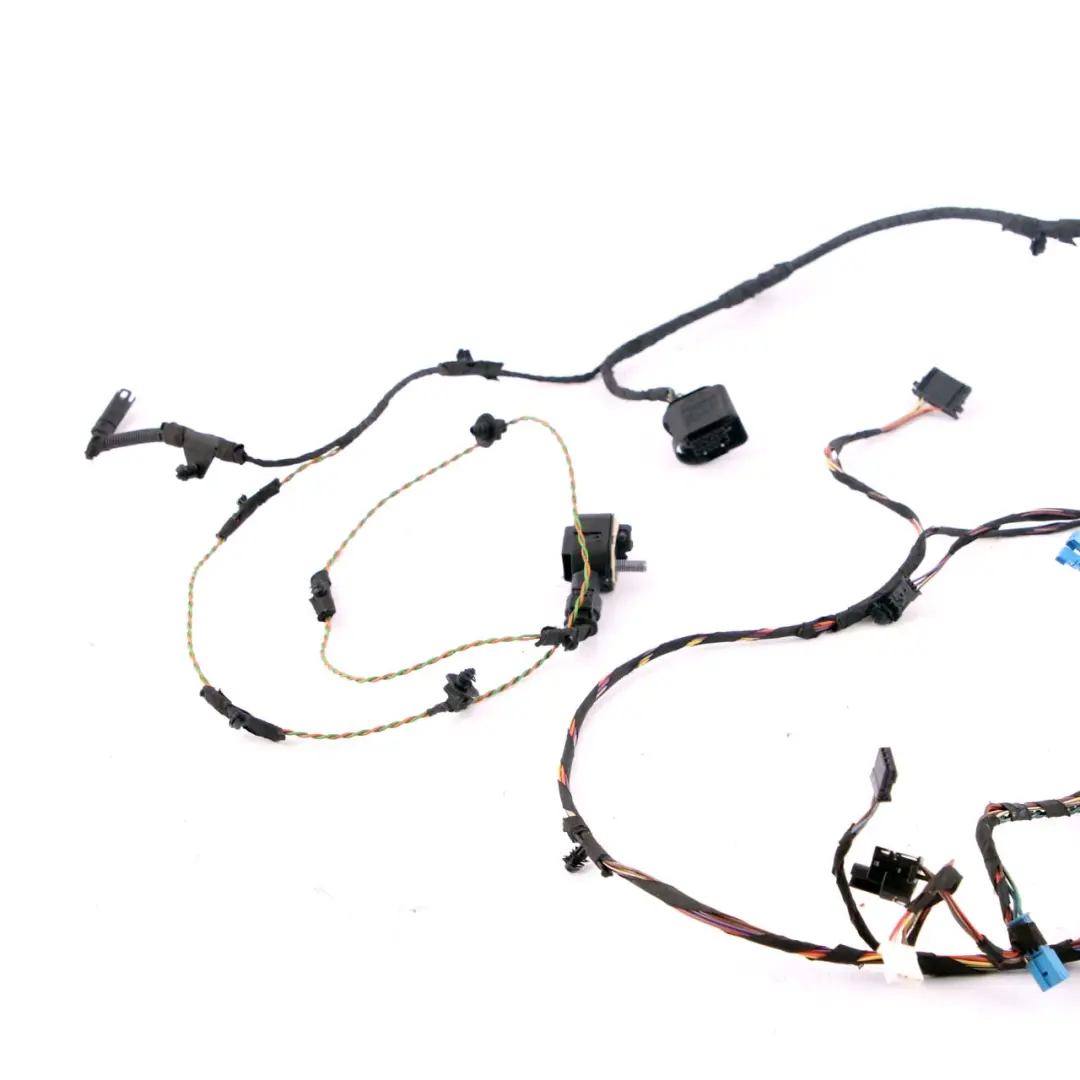 BMW F01 Puerta Delantera Cableado Mazo - SKU 9262871 - Número de pieza 9262871
