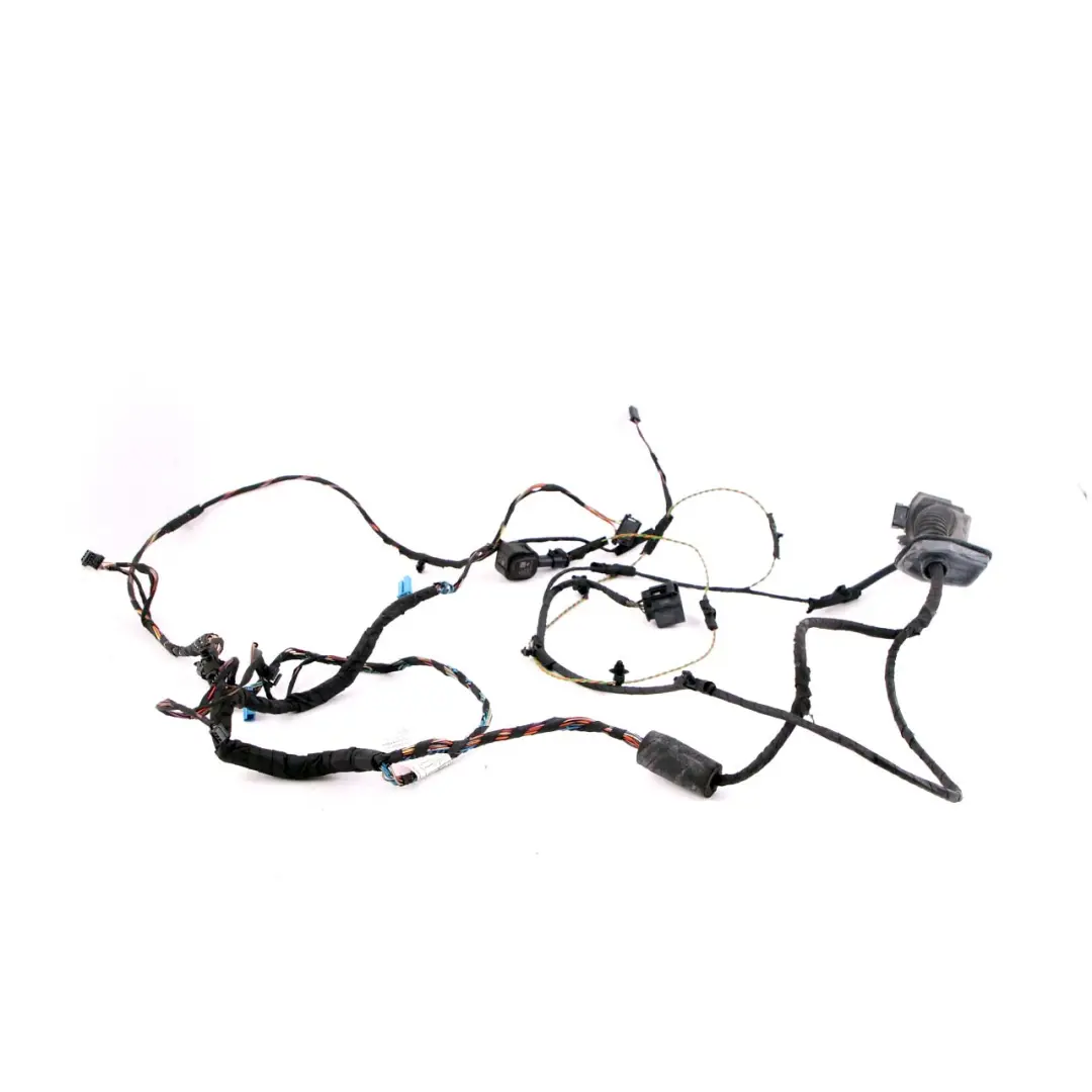 BMW F01 Puerta Delantera Cableado Mazo - SKU 9262871 - Número de pieza 9262871