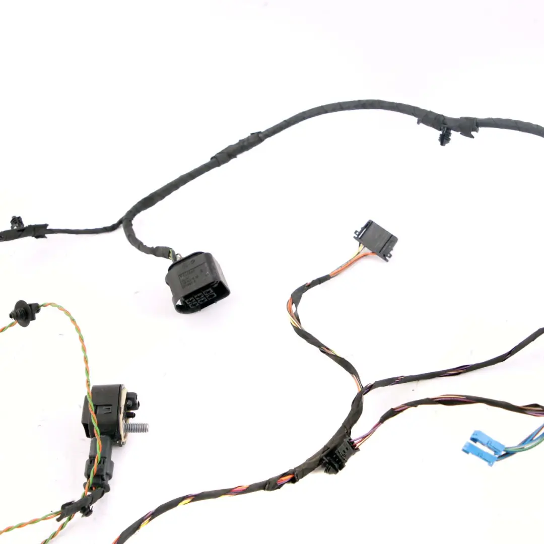 BMW F01 Vorderseite Tür Verkabelung Kabel Kabelbaum - SKU 9262871 - Teilenummer 9262871