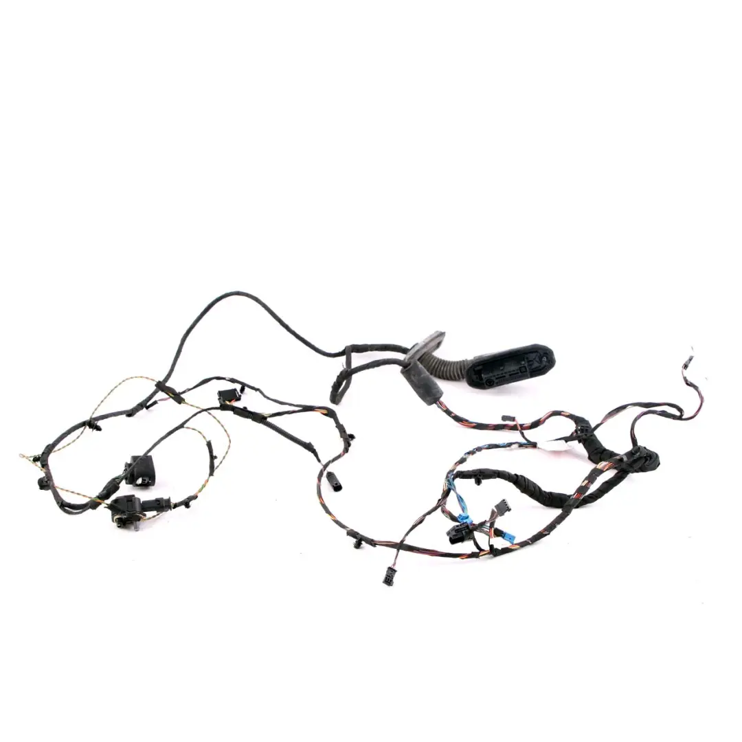 BMW F01 Puerta Delantera Cableado Mazo - SKU 9262871 - Número de pieza 9262871
