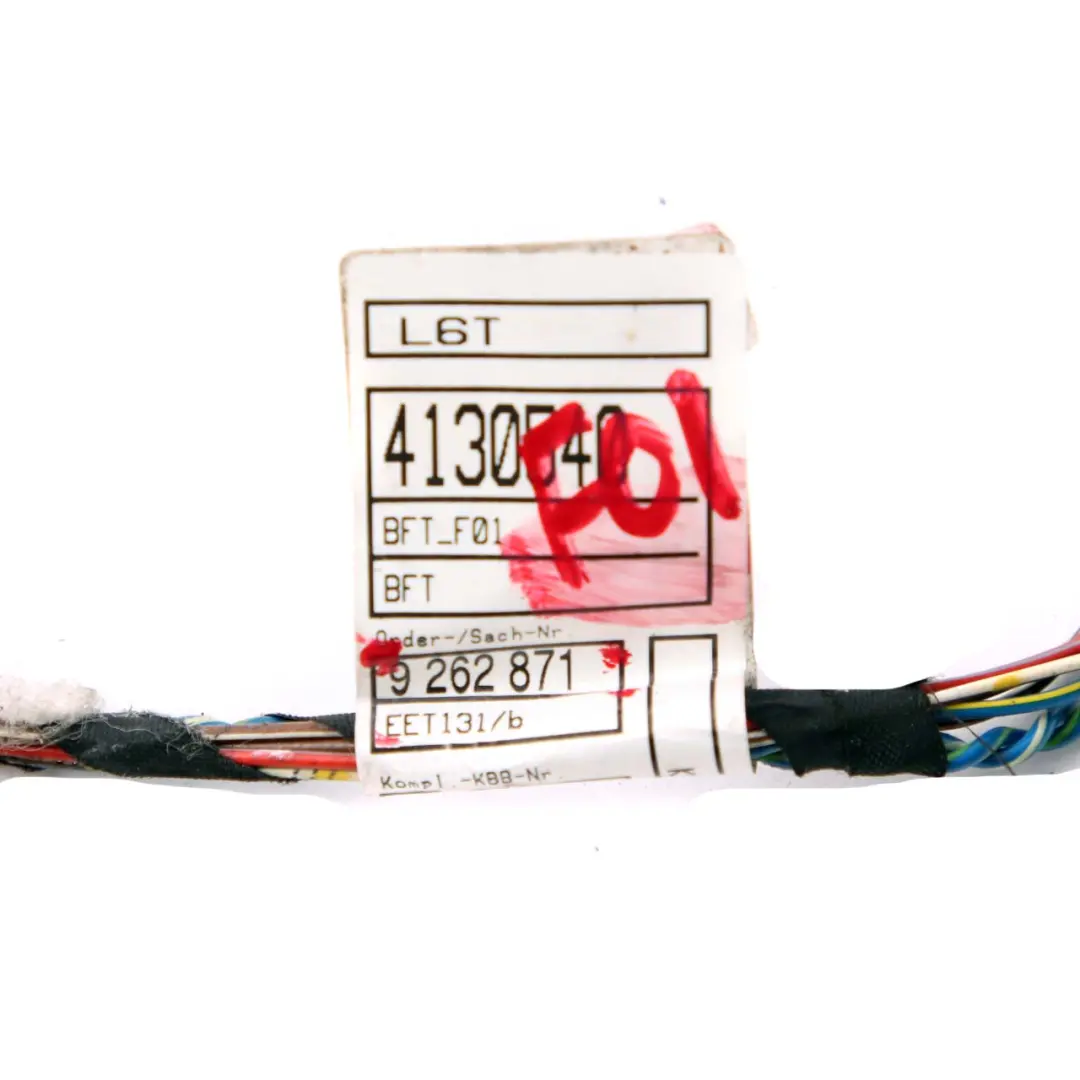 BMW F01 Puerta Delantera Cableado Mazo - SKU 9262871 - Número de pieza 9262871