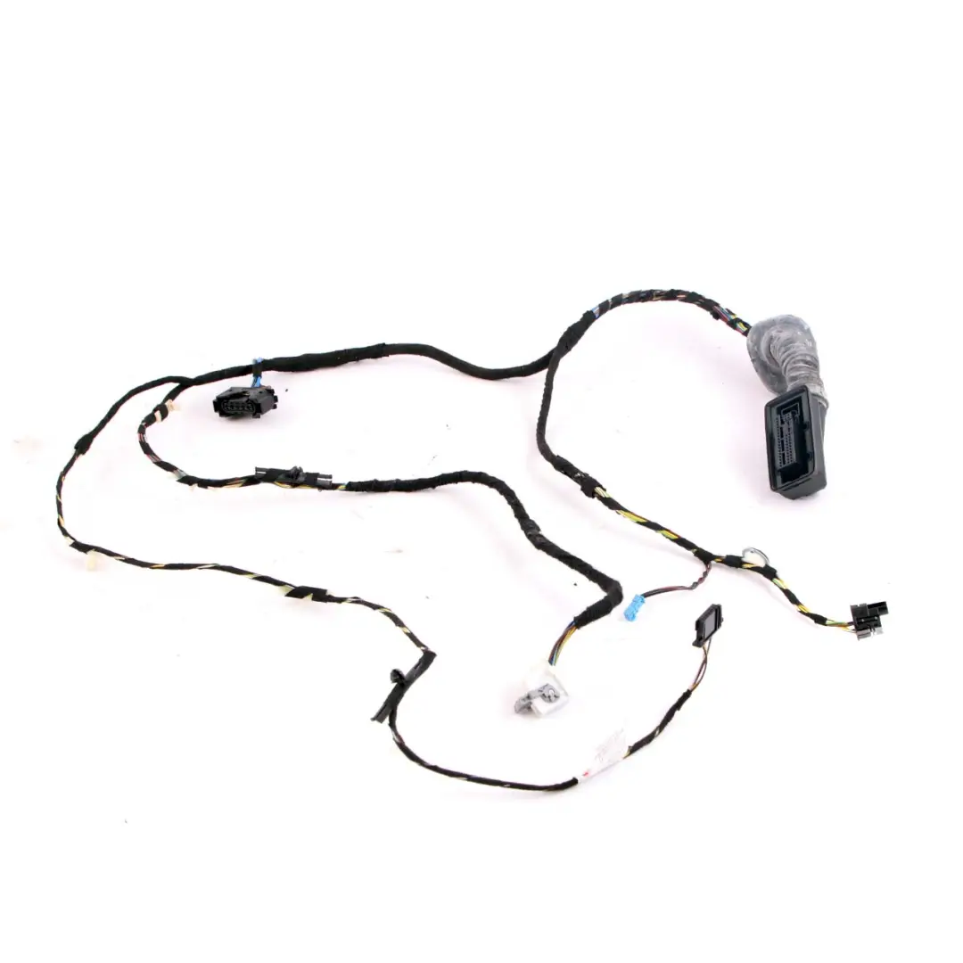 BMW 3er F30 F31 Kabelbaum Vordertür Fahrerseite - SKU 9286219 - Teilenummer 9286219