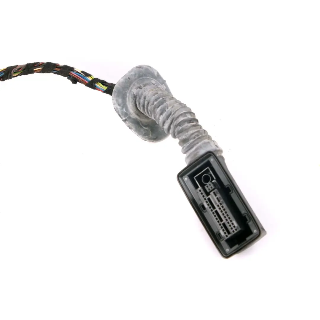Faisceau de Câbles Portière Avant Conducteur pour BMW F30 F31 à propos du numéro de pièce 9286219 BMW F30 F31 Faisceau de Câbles Portière Avant Conducteur - SKU 9286219 - Numéro de pièce 9286219