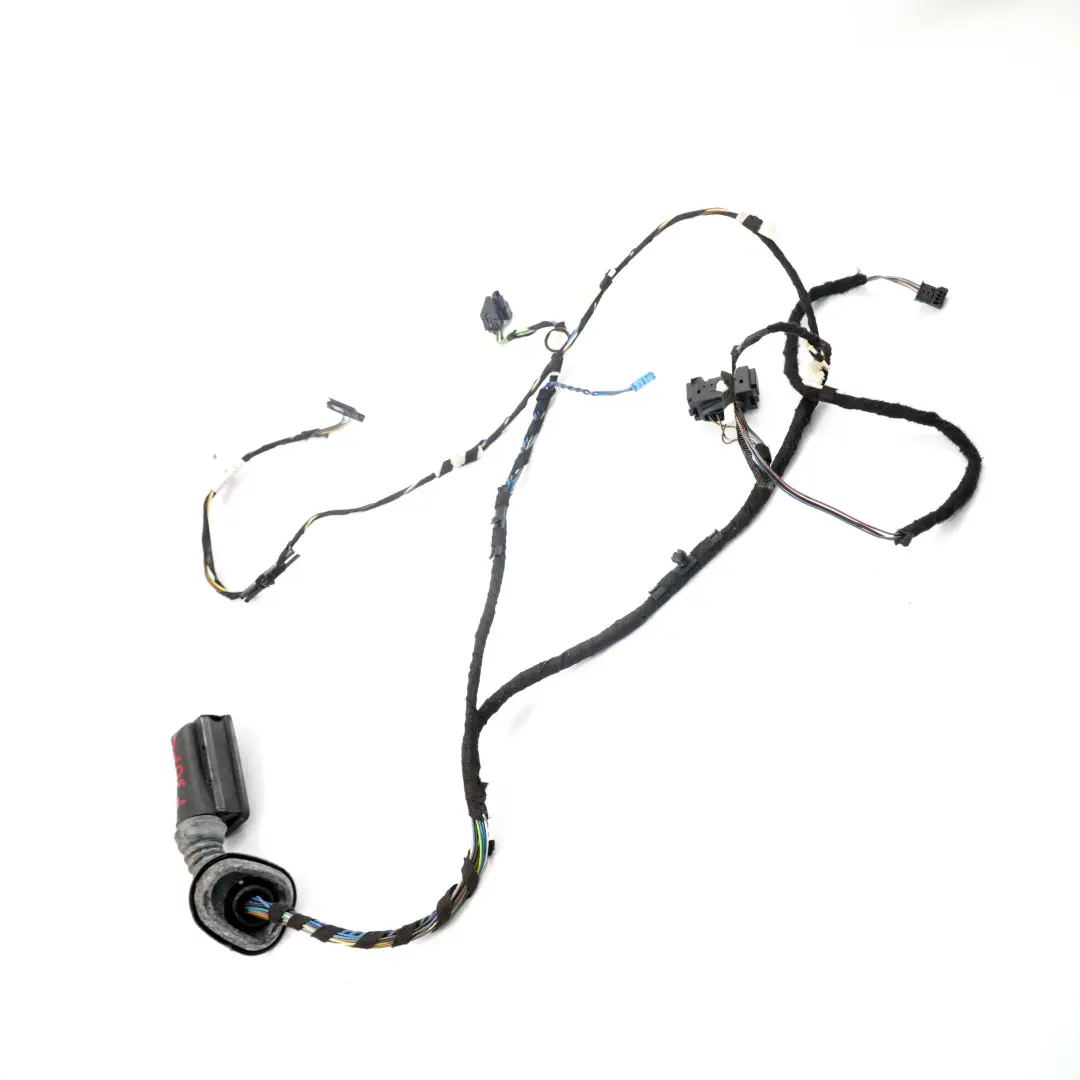 Cableado Puerta Pasajero Delantero Cables Loom Arn?s F31 para BMW F30 con número de pieza 9286238 BMW F30 Cableado Puerta Pasajero Delantero Cables Loom Arn?s F31 - SKU 9286238 - Número de pieza 9286238