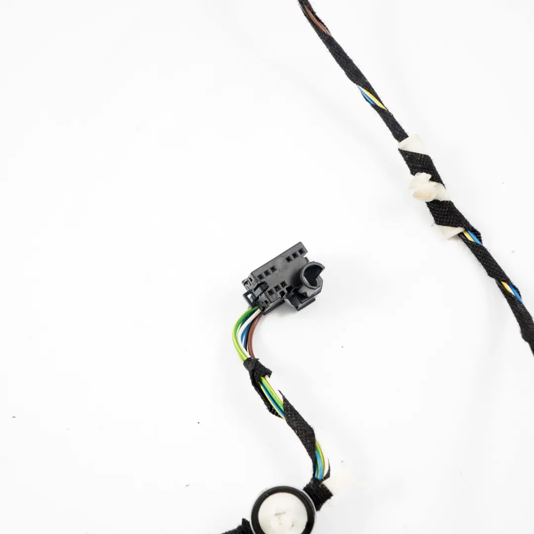 BMW F30 Door Wiring Front Passenger Door Loom Cables Harness F31 - SKU 9286238 - Part number 9286238