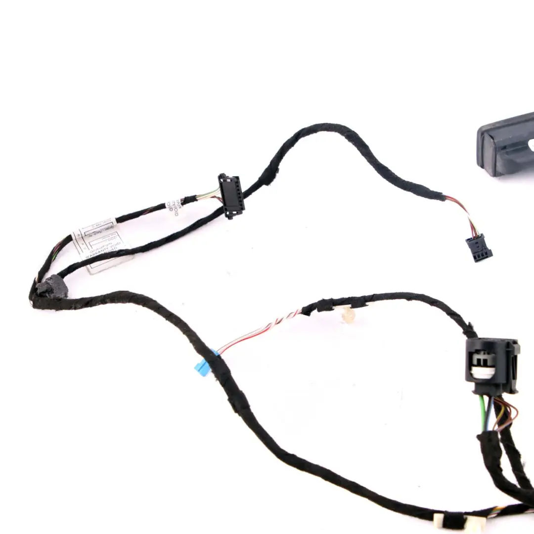 BMW 3 er F30 F31 Kabelbaum Tür Hinten Links - SKU 9286249 - Teilenummer 9286249