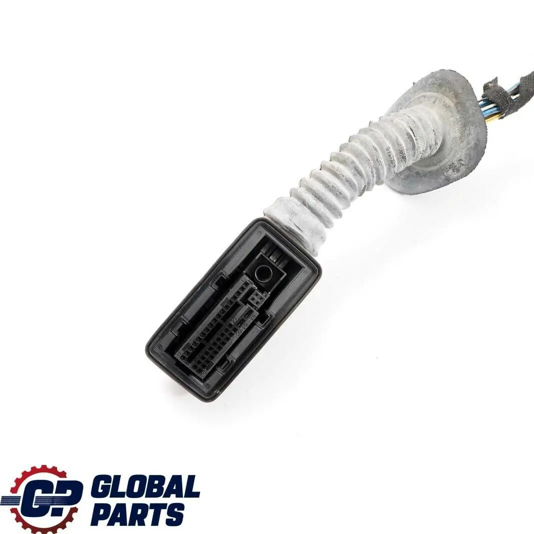 BMW 1 2 Series F21 F22 F23 Wiring Loom Harness Co-Drivers - SKU 9287441 - Part number 9287441
