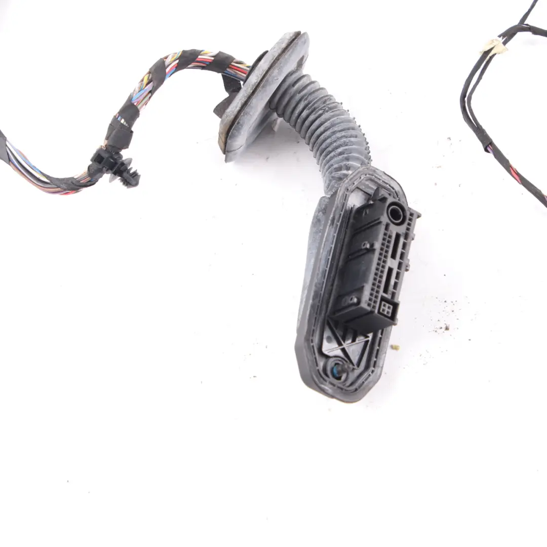  Door Wiring Harness BMW F25 Rear Left Right Door N/O/S Wiring Loom - SKU 9315130 - Part number 9315130