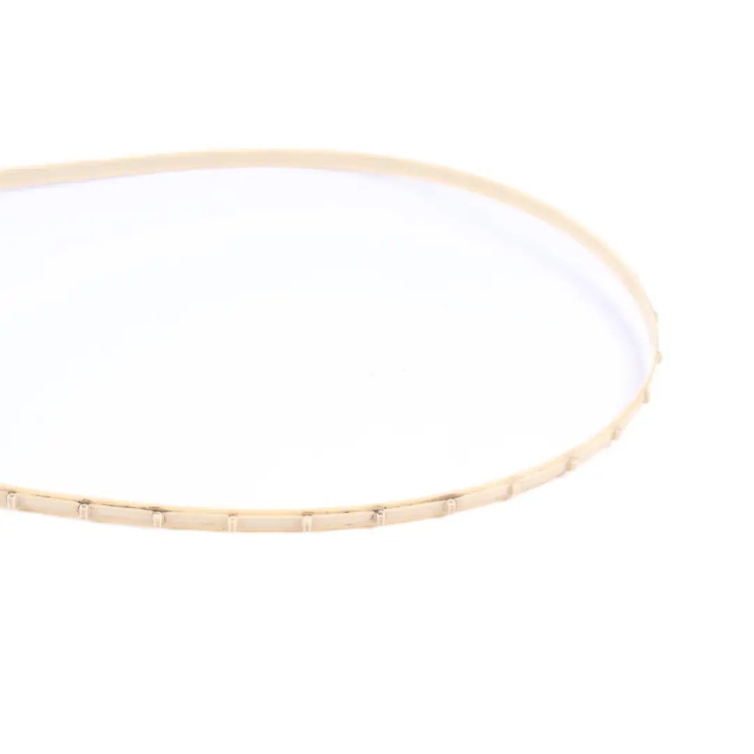 BMW F10 F11 Capteur De Protection Des Piétons Unité De Contrôle F-Optic - SKU 9318777 - Numéro de pièce 9318777
