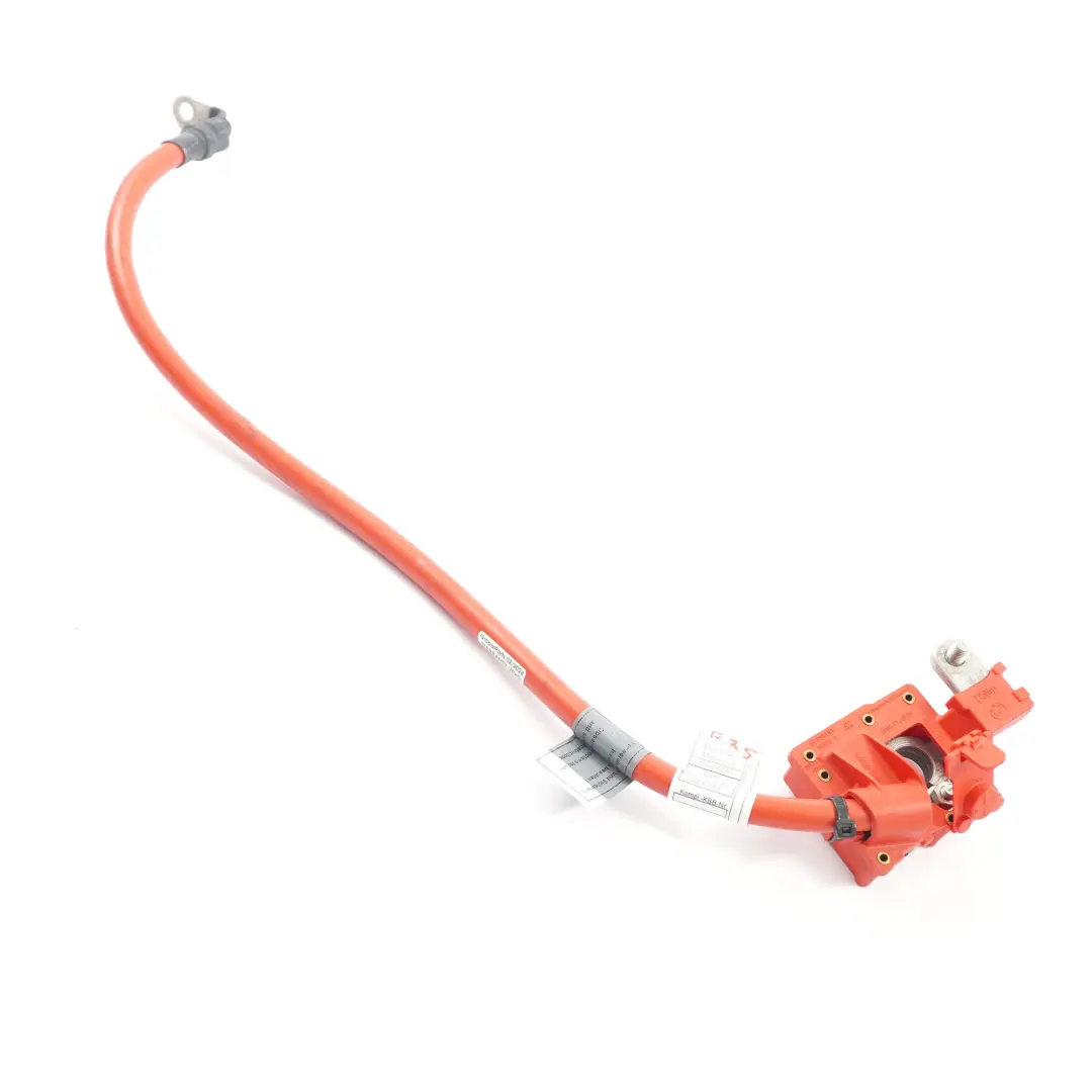  Cavo batteria BMW X3 F25 X4 F26 Piombo polo positivo più - SKU 9321005 - Numero di parte 9321005