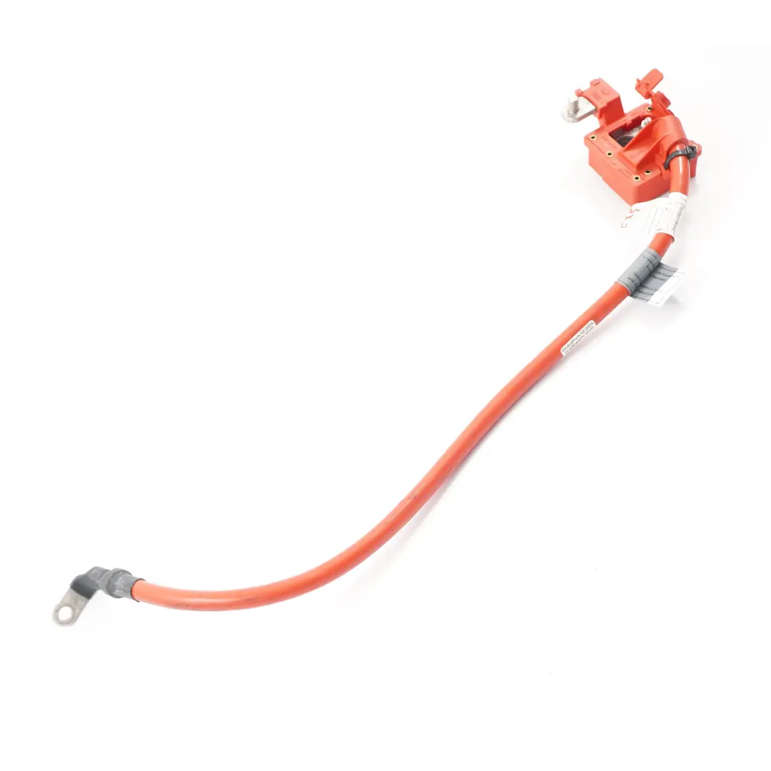  Cavo batteria BMW X3 F25 X4 F26 Piombo polo positivo più - SKU 9321005 - Numero di parte 9321005