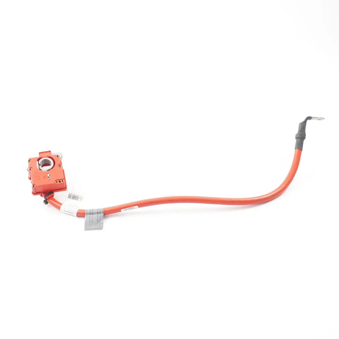  Batterie kabel BMW X3 F25 X4 F26 Plus pol kabel - SKU 9321005 - Teilenummer 9321005