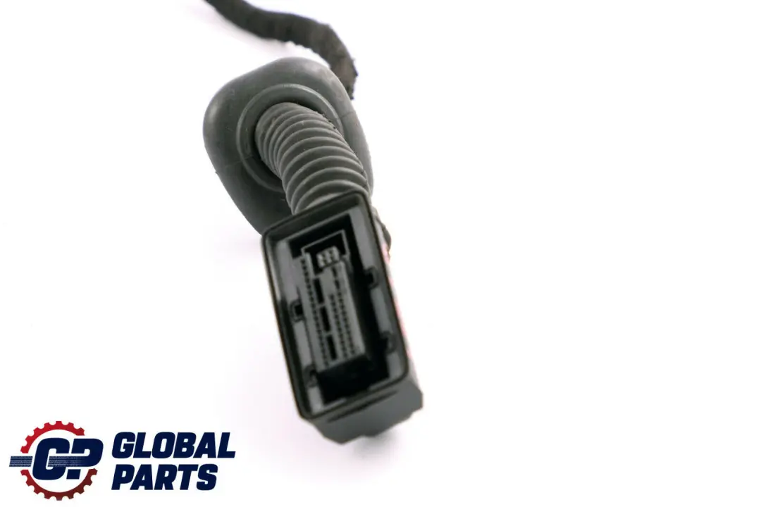 Faisceau Câblage Porte Avant Côté Conducteur pour BMW F20 à propos du numéro de pièce 9335291 BMW F20 Faisceau Câblage Porte Avant Côté Conducteur - SKU 9335291 - Numéro de pièce 9335291
