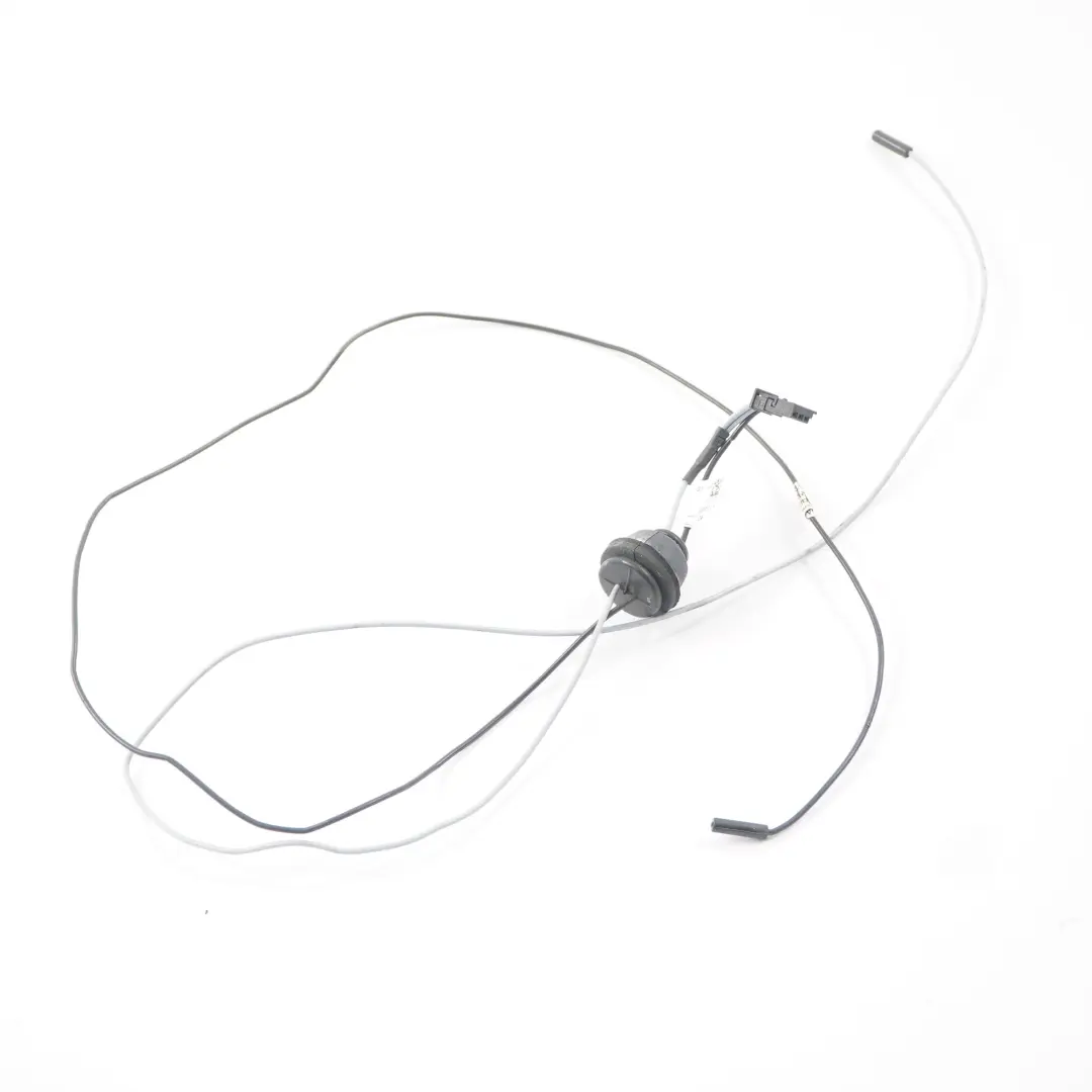 Antenne Mini F60 Countryman Antenne Sonde AM / FM1 Verkabelung für mit Teilenummer 9338154 Antenne Mini F60 Countryman Antenne Sonde AM / FM1 Verkabelung - SKU 9338154 - Teilenummer 9338154