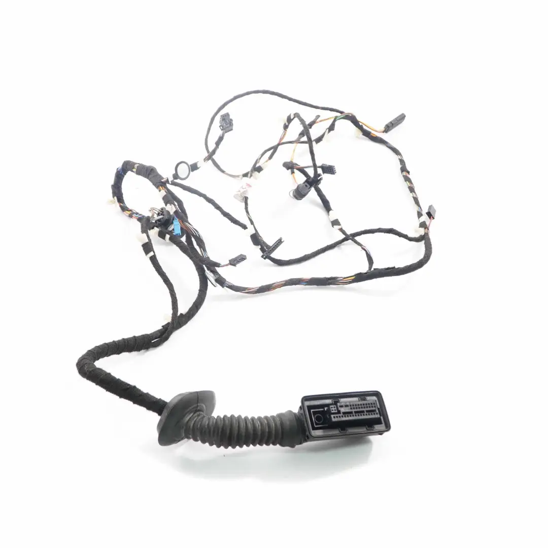 BMW F21 Cableado Puerta Pasajero Delantero Cables Loom F22 - SKU 9340997 - Número de pieza 9340997