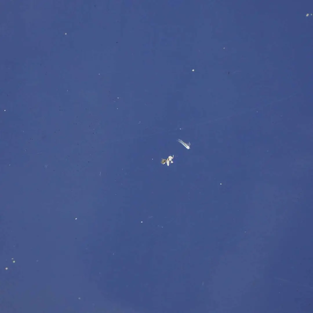 Maska Pokrywa Silnika Ink Blue - 23U do Opel Vivaro B o numerze 93455832 Opel Vivaro B Maska Pokrywa Silnika Ink Blue - 23U - SKU 93455832-IBL - Numer Części 93455832