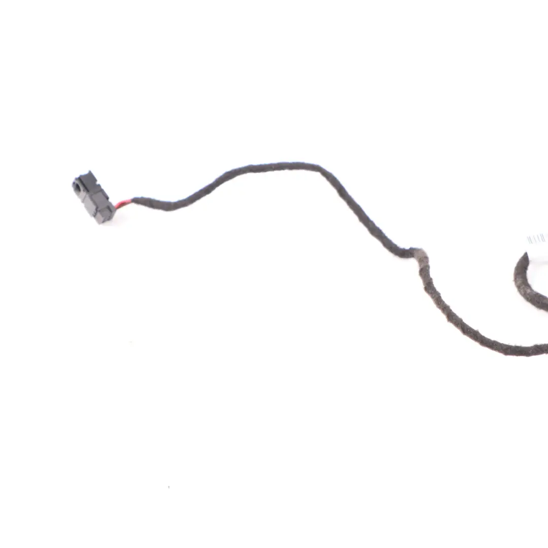 Cablaggio luci Interno Illuminazione Ambientale LED Loom BMW F32 F33 F34 F36 LCI - SKU 9354148 - Numero di parte 9354148