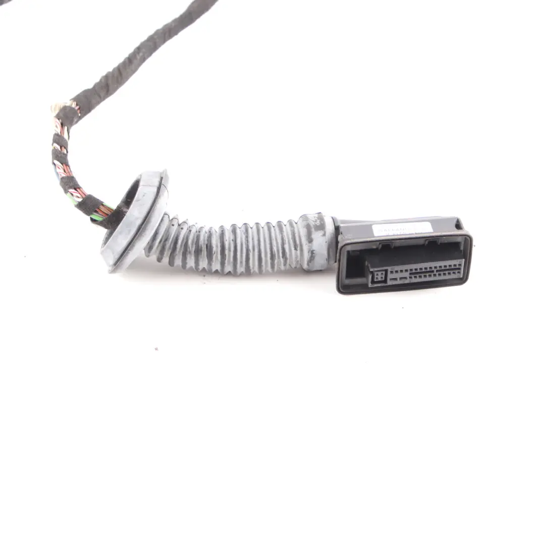 BMW 3 Series F30 F31 F80 M3 Wiring Set Rear Door Right Left N/O/S - SKU 9366761 - Part number 9366761