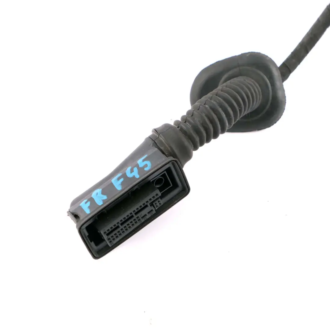 Tür Kabelbaum Kabelbaum Beifahrerseite für BMW 2 F45 mit Teilenummer 9380938 BMW 2 F45 Tür Kabelbaum Kabelbaum Beifahrerseite - SKU 9380938 - Teilenummer 9380938