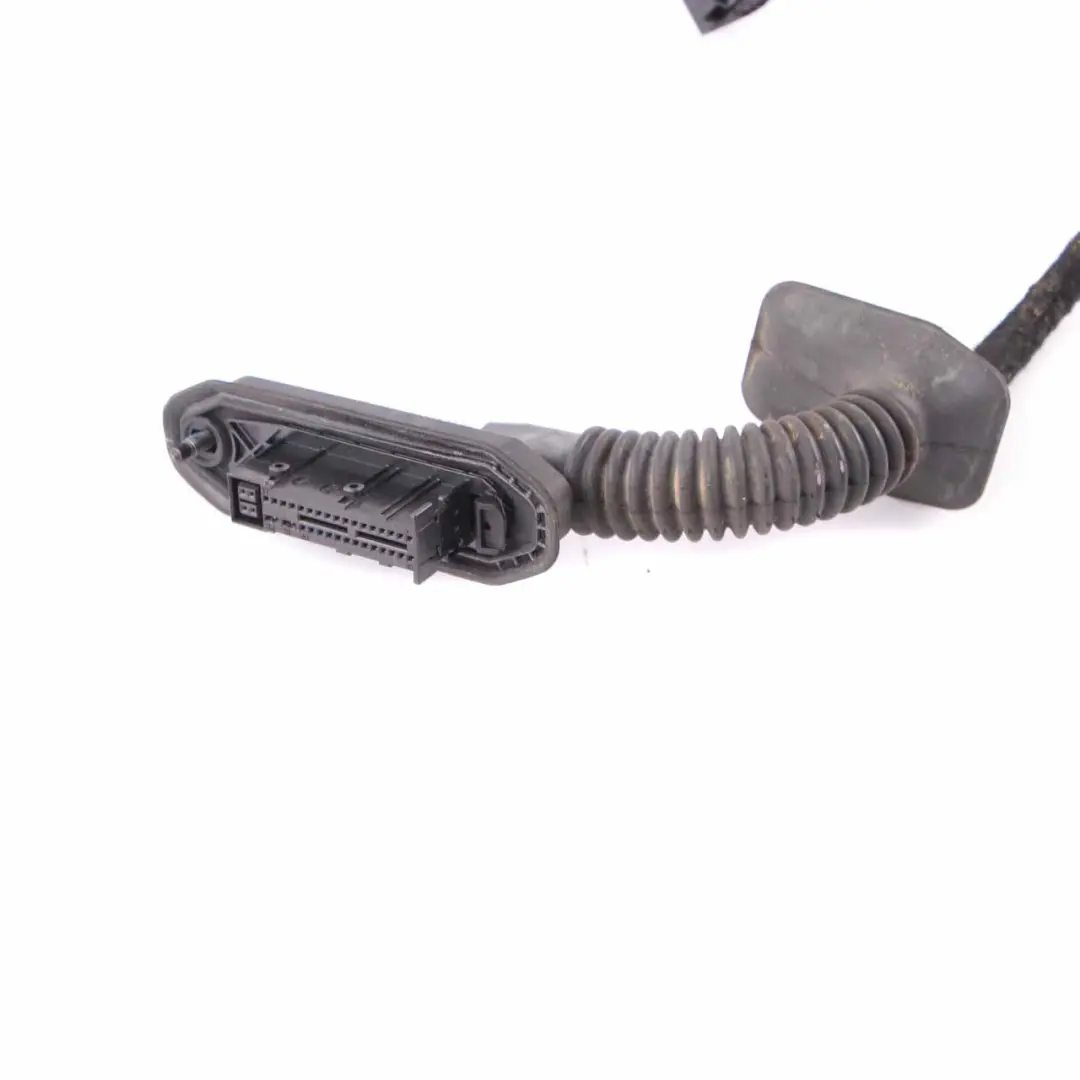 BMW X1 E84 Door Cable Harness Loom Driver Side Wiring Set 9233551 - SKU 9384571-1 - Part number 9384571