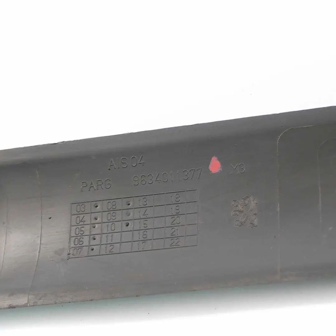 Türverkleidung Leiste hinten links Zierleiste für Peugeot 307 mit Teilenummer 9634011377 Peugeot 307 Türverkleidung Leiste hinten links Zierleiste - SKU 9634011377 - Teilenummer 9634011377