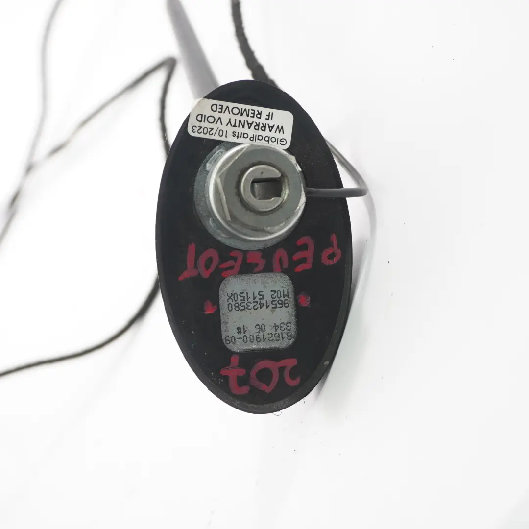 Peugeot 207 Antena Dachowa Dachu - SKU 9651423580-1 - Numer Części 9651423580