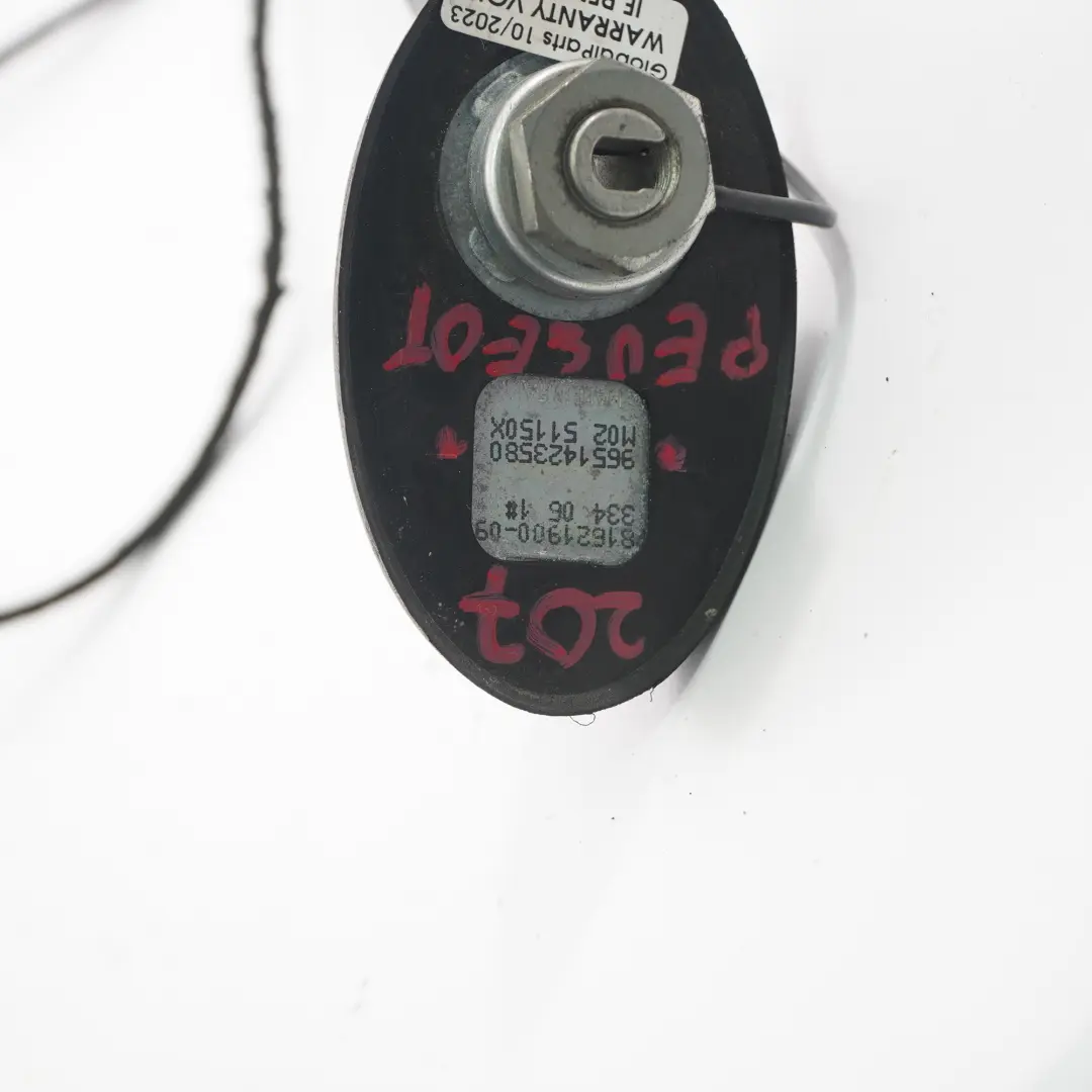 Peugeot 207 Antena Dachowa Dachu - SKU 9651423580-1 - Numer Części 9651423580