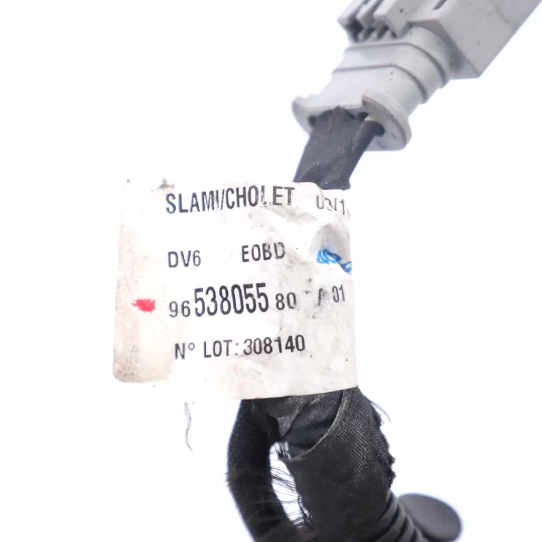 Peugeot 308 1.6 HDI Diesel Cable de la bujía incandescente - SKU 9653805580 - Número de pieza 9653805580
