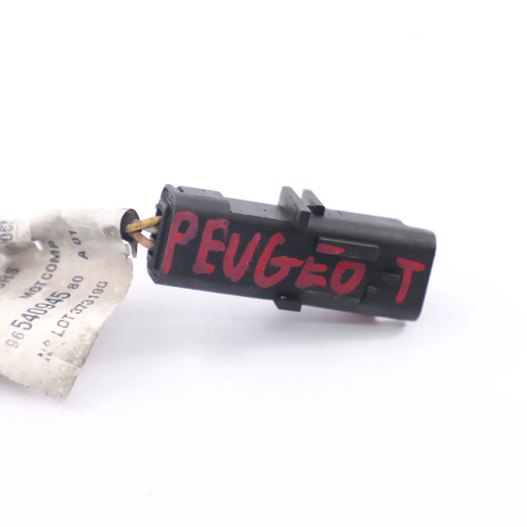 Sensor de posición del árbol de levas para Peugeot 307 1.6 HDI con número de pieza 9654094580 Peugeot 307 1.6 HDI Sensor de posición del árbol de levas - SKU 9654094580 - Número de pieza 9654094580