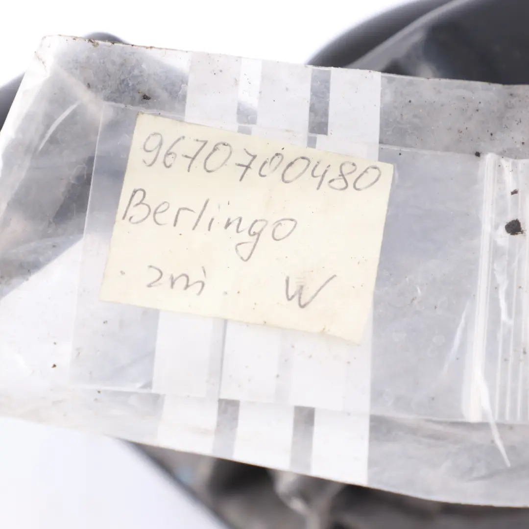 Citroen Berlingo Peugeot Partner Power Steering Pump Unit to with Part number 9670700480 Citroen Berlingo Peugeot Partner Power Steering Pump Unit - SKU 9670700480 - Part number 9670700480