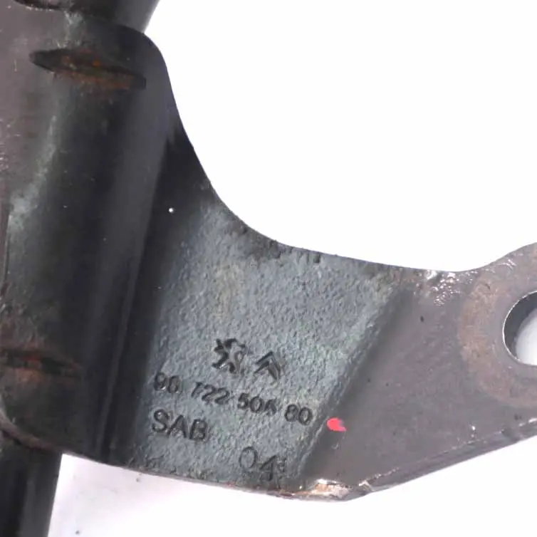 Jauge d'huile Vérification du niveau d'huile pour Peugeot 207 1.6 HDi à propos du numéro de pièce 9672250580 Peugeot 207 1.6 HDi Jauge d'huile Vérification du niveau d'huile - SKU 9672250580 - Numéro de pièce 9672250580