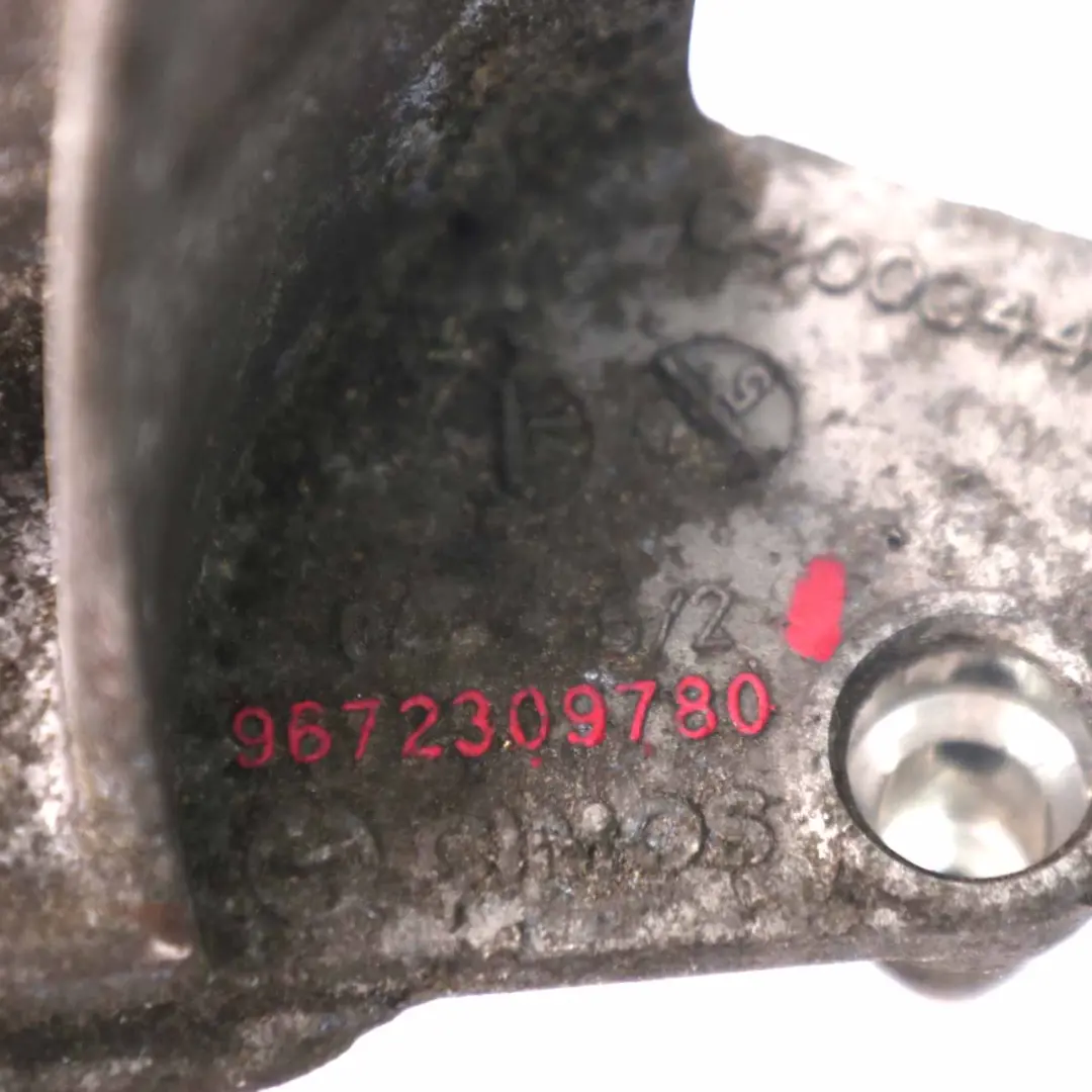 Kraftstofffiltergehäuse Peugeot 207 1.6 HDi Halterung Halterung für mit Teilenummer 9672309780 Kraftstofffiltergehäuse Peugeot 207 1.6 HDi Halterung Halterung - SKU 9672309780 - Teilenummer 9672309780