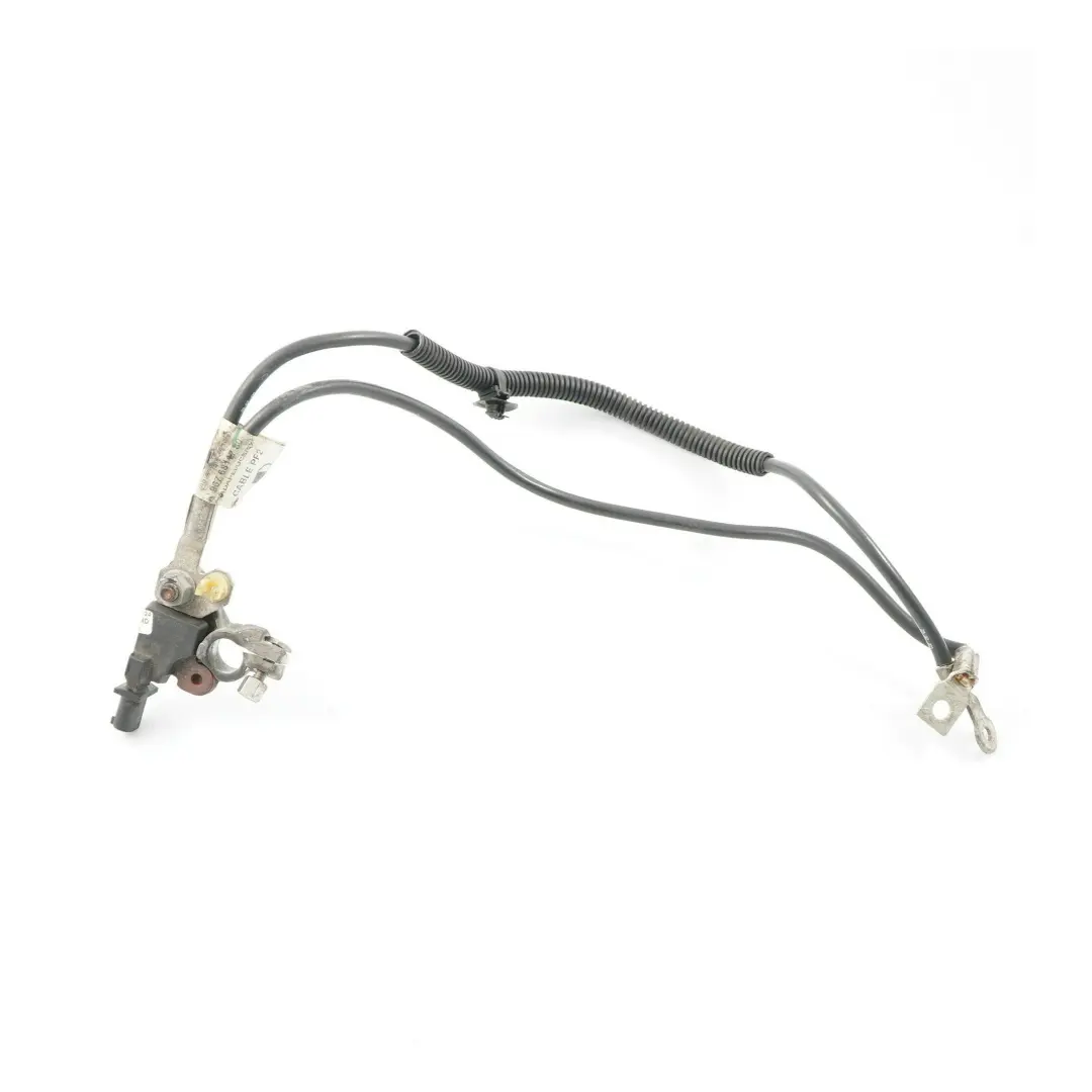 Citroen Berlingo Peugeot Partner Terminal de la batería Cable tierra para con número de pieza 9676811780 Citroen Berlingo Peugeot Partner Terminal de la batería Cable tierra - SKU 9676811780 - Número de pieza 9676811780