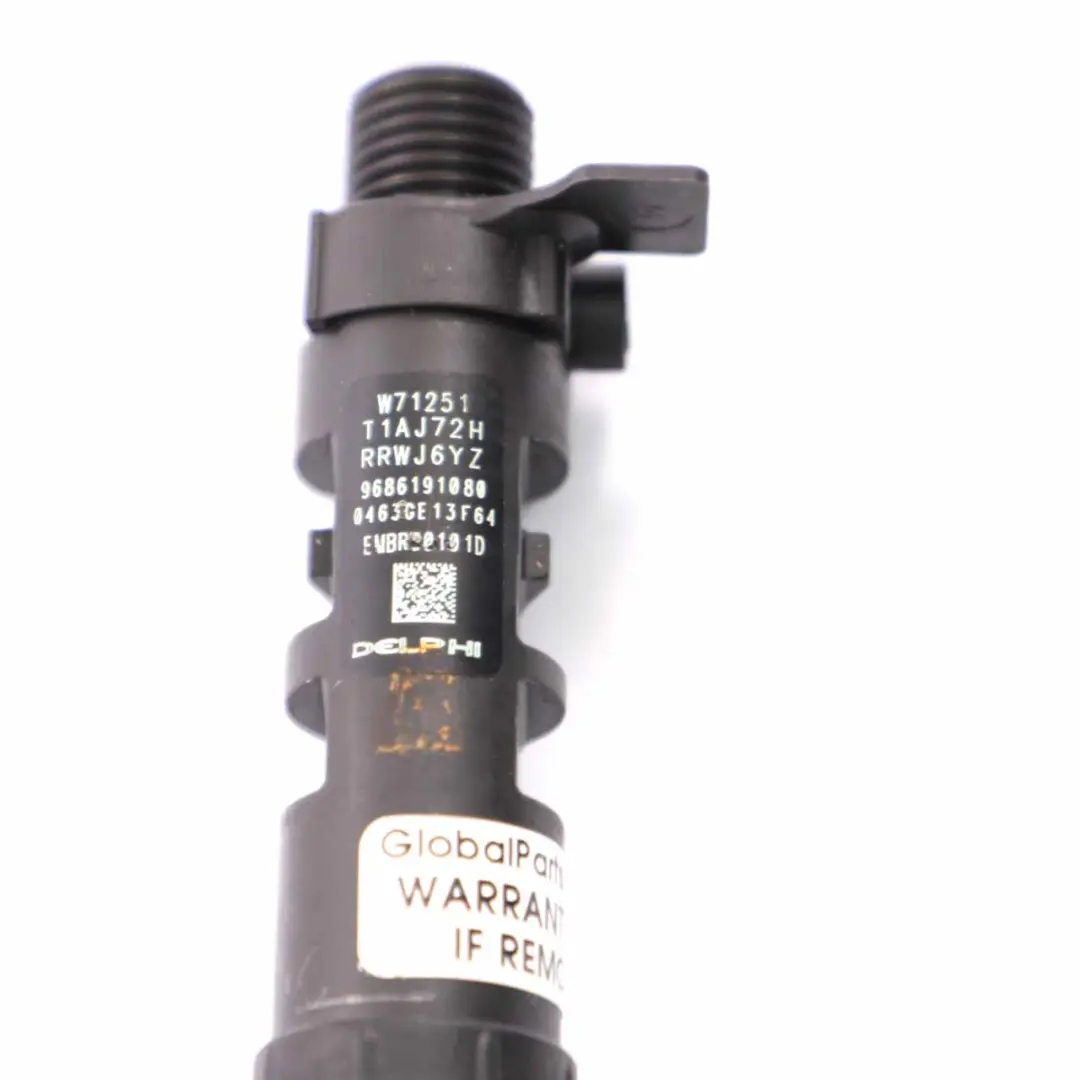 Peugeot 5008 2.0 HDI Diesel Fuel Injector - SKU 9686191080 - Part number 9686191080