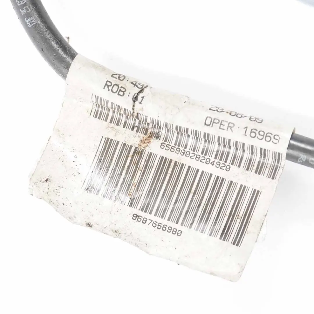 Citroen C3 Picasso Negative Battery Terminal Cable Wiring Lead  - SKU 9687656980 - Part number 9687656980