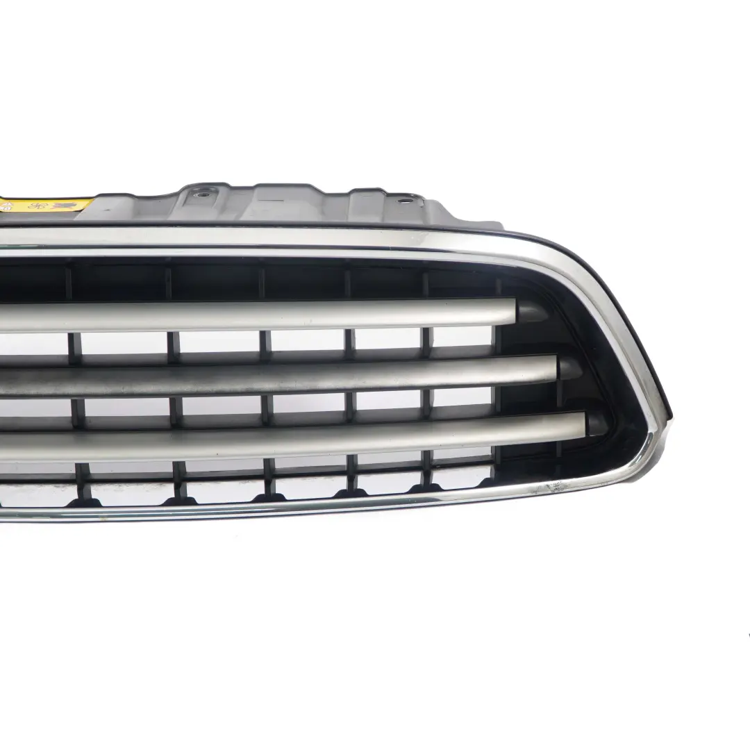 Mini Cooper R61 Paceman Grille de protection de panneau argente - SKU 9810504 - Numéro de pièce 9810504