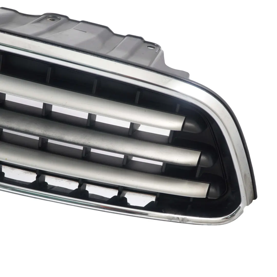 Mini Cooper R61 Paceman Grille de protection de panneau argente - SKU 9810504 - Numéro de pièce 9810504