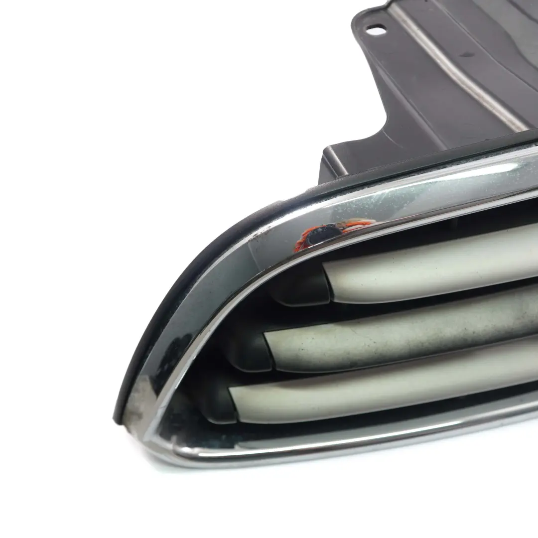 Mini Cooper R61 Paceman Grille de protection de panneau argente - SKU 9810504 - Numéro de pièce 9810504