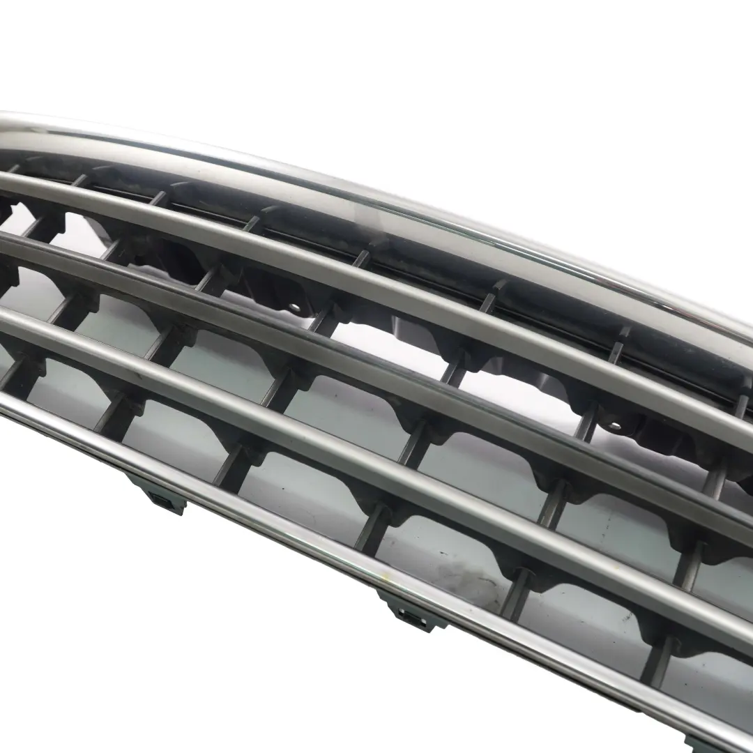 Mini Cooper R61 Paceman Grille de protection de panneau argente - SKU 9810504 - Numéro de pièce 9810504