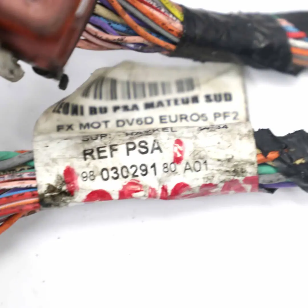 Citroen Berlingo Mk2 Wiring Cable Loom Diesel Engine to Peugeot Partner with Part number 9803029180 Peugeot Partner Citroen Berlingo Mk2 Wiring Cable Loom Diesel Engine - SKU 9803029180 - Part number 9803029180