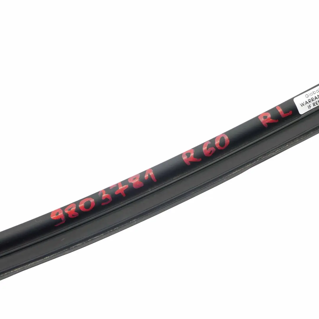 Lato Posteriore Sinistro Modanatura Striscia Cromata per Mini Countryman R60 con numero di parte 9803781 Mini Countryman R60 Lato Posteriore Sinistro Modanatura Striscia Cromata - SKU 9803781 - Numero di parte 9803781